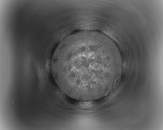 X0000088670671200706071501