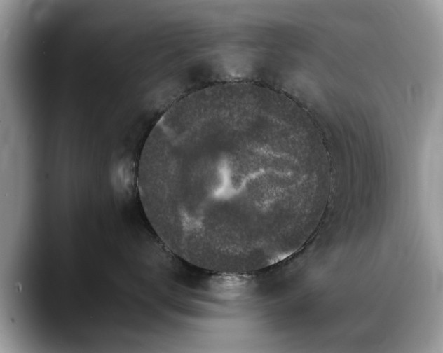 X0000088670672200706071501
