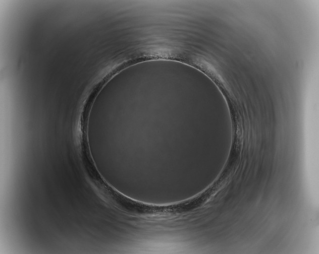 X0000088670674200706071500