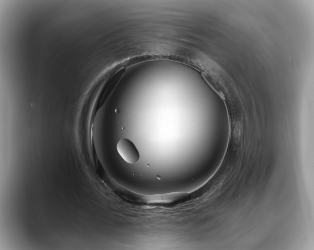 X0000088670676200706071500