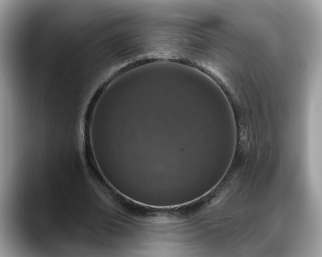 X0000088670678200706071500