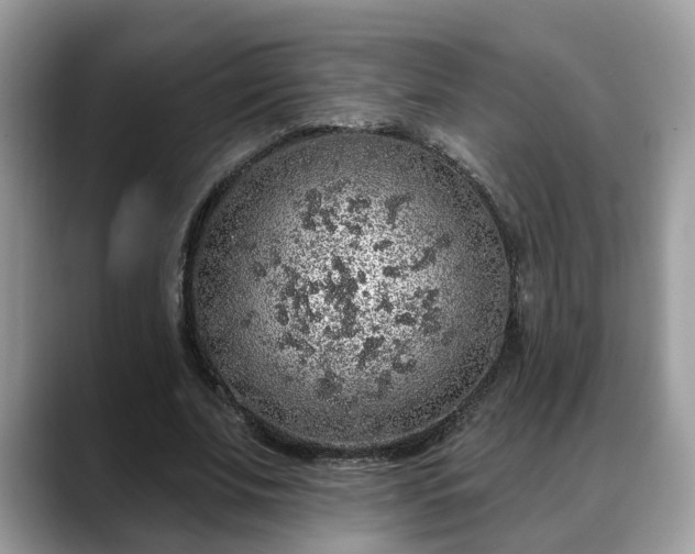 X0000088670679200706071500