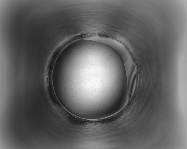 X0000088670680200706071500