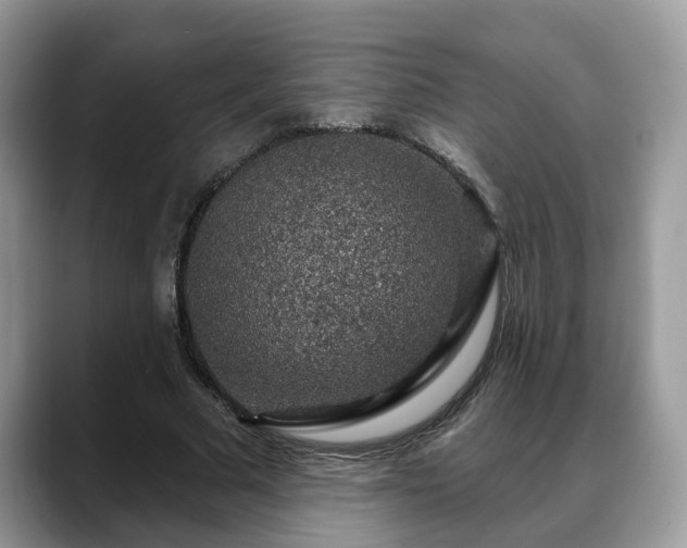 X0000088670681200706071500