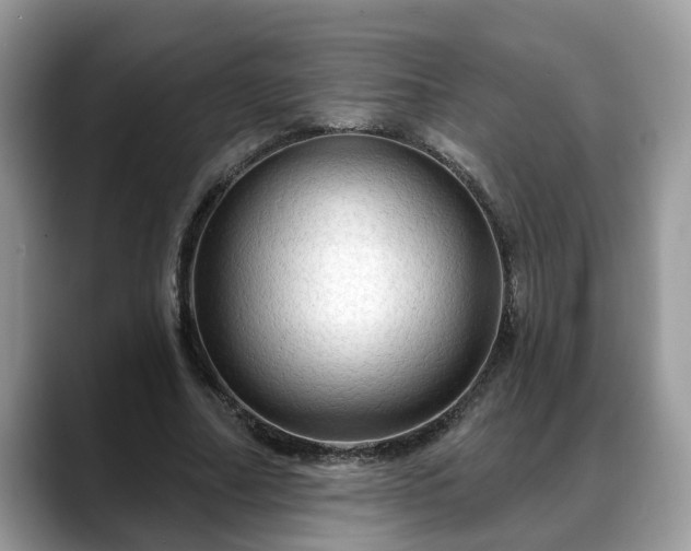 X0000088670682200706071500