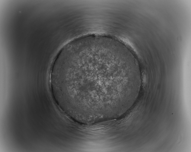 X0000088670684200706071500