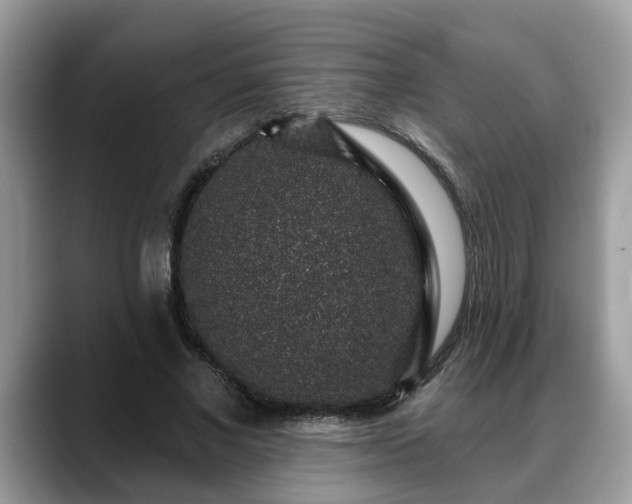 X0000088670685200706071500