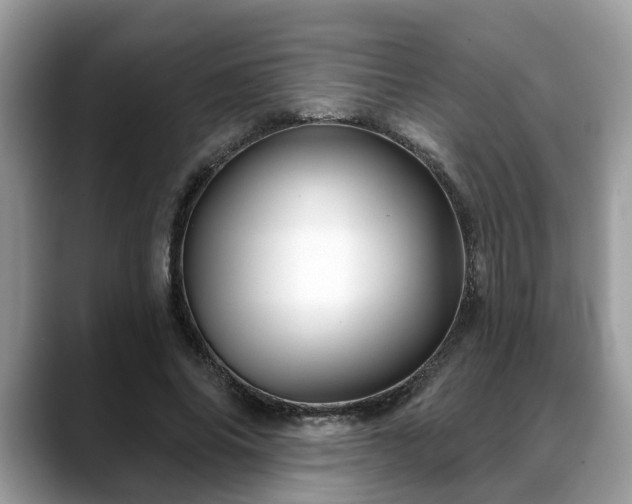 X0000088670686200706071500