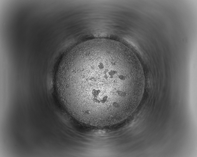 X0000088670687200706071500