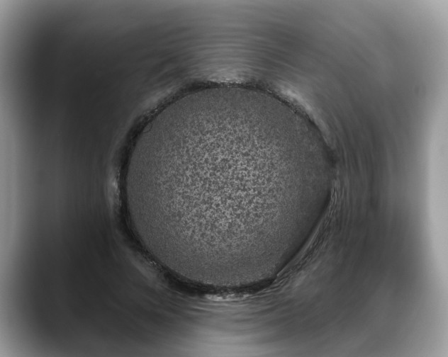 X0000088670688200706071500