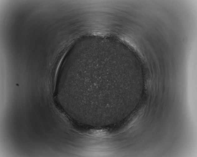 X0000088670689200706071500