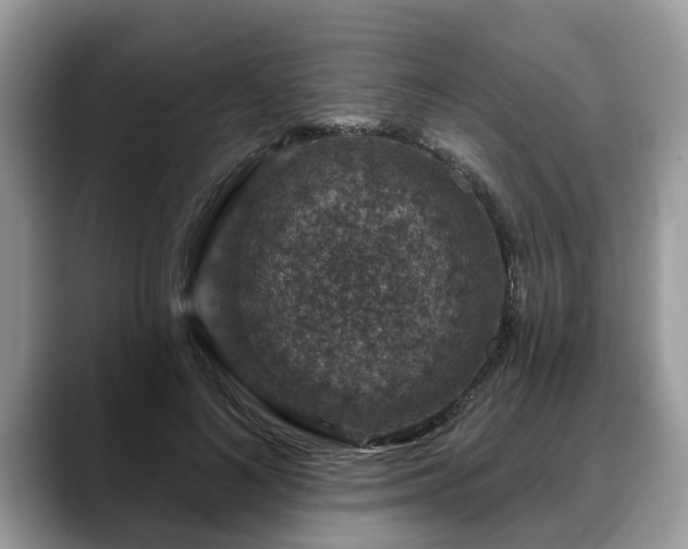 X0000088670692200706071500
