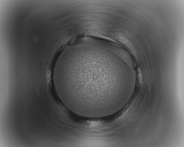 X0000088670693200706071500