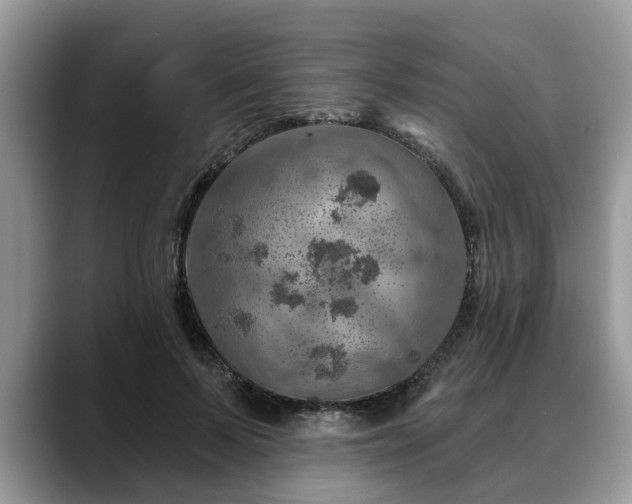X0000088670695200706071500