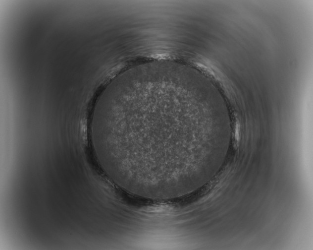 X0000088670696200706071500