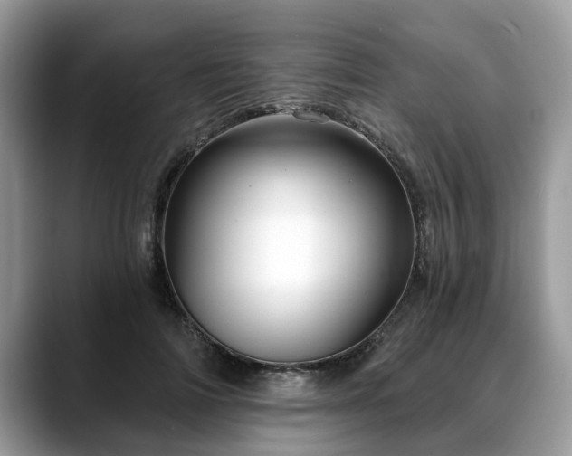 X0000088670698200706071500