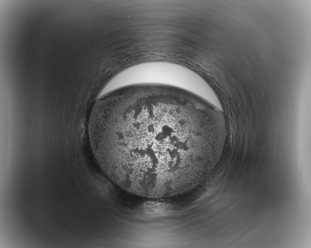 X0000088670699200706071500