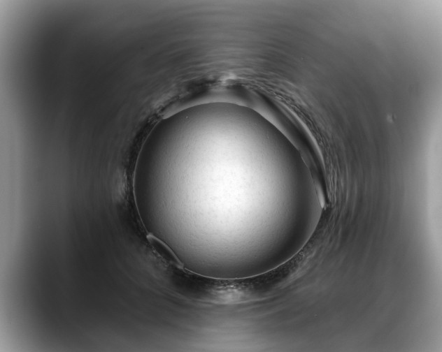 X0000088670704200706071500
