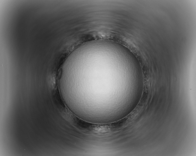 X0000088670709200706071500
