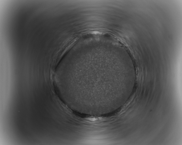 X0000088670712200706071500