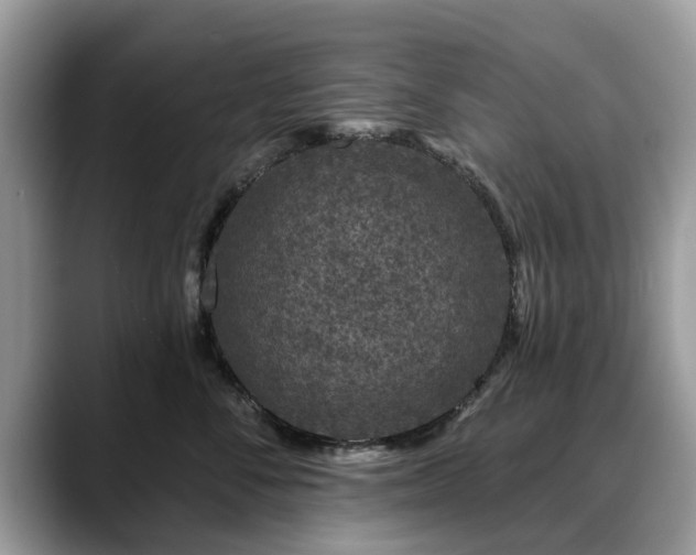X0000088670716200706071459