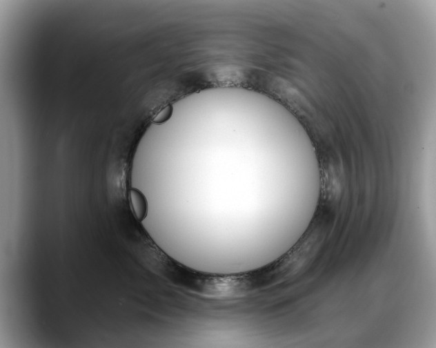 X0000088670717200706071459