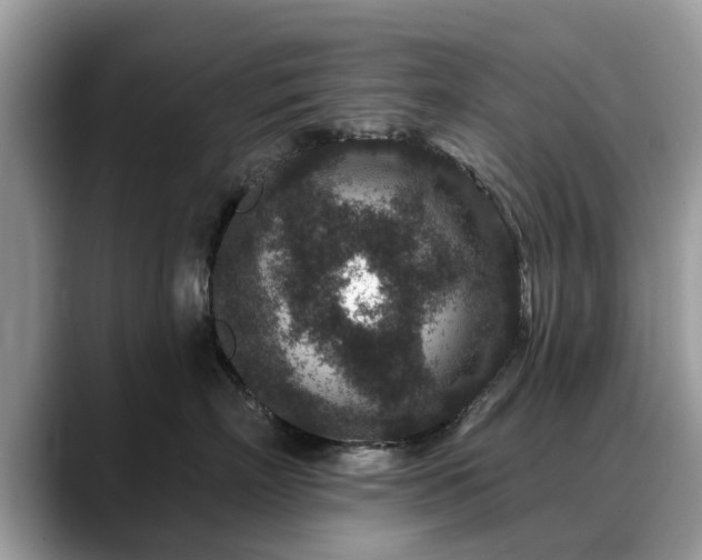 X0000088670718200706071459