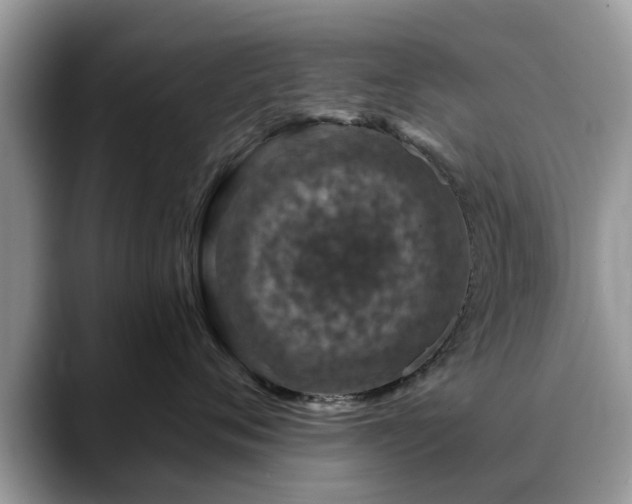 X0000088670720200706071459