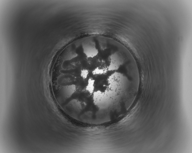 X0000088670721200706071459