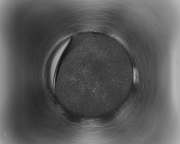 X0000088670723200706071459