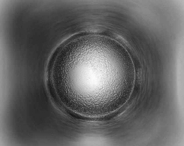 X0000088670726200706071459