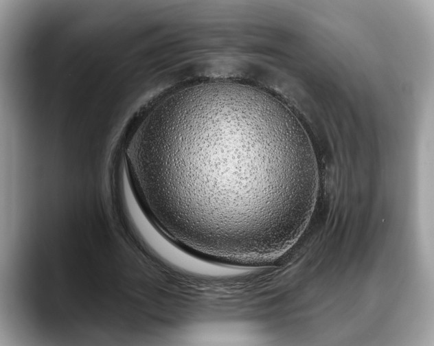 X0000088670727200706071459