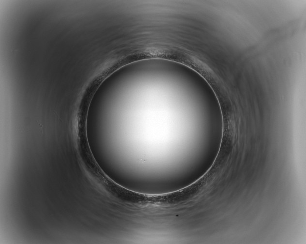 X0000088670730200706071459