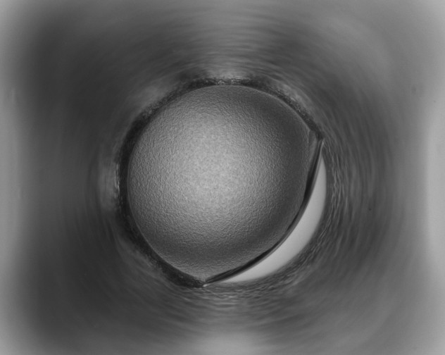 X0000088670731200706071459