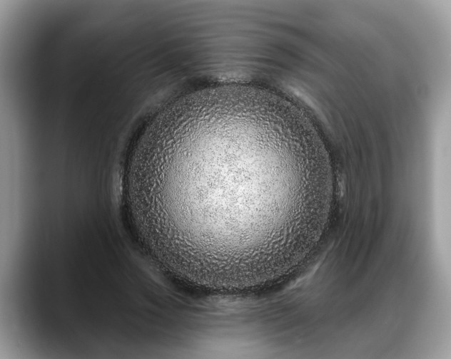 X0000088670733200706071459