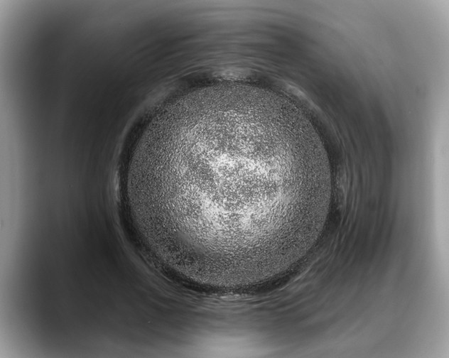 X0000088670734200706071459