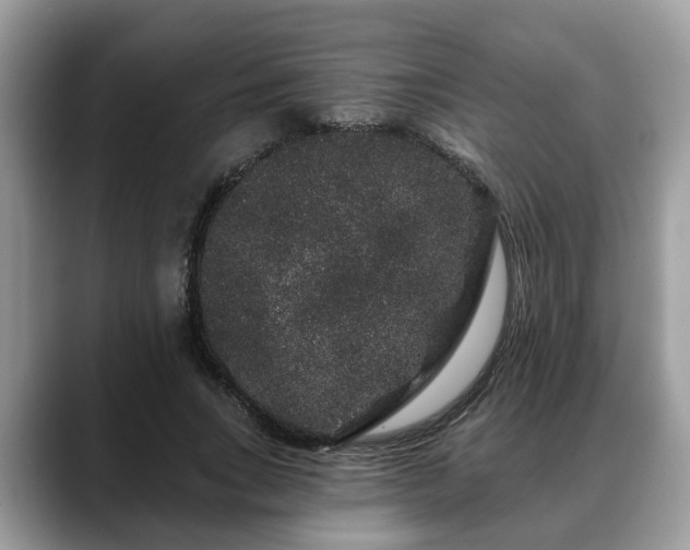 X0000088670735200706071459