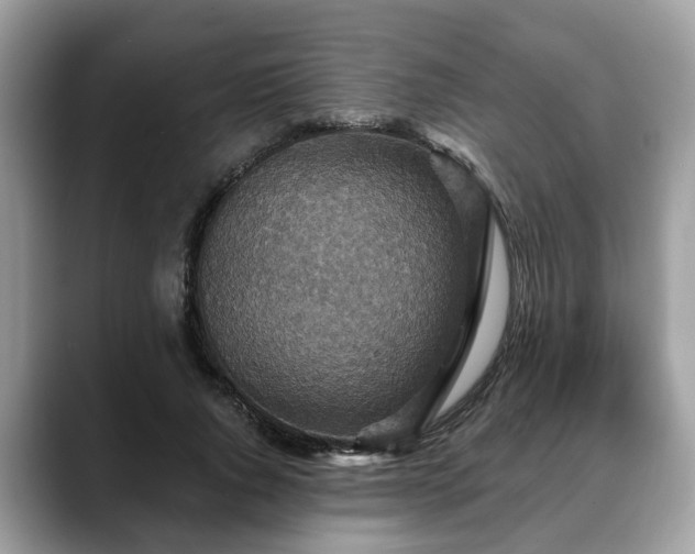 X0000088670736200706071459