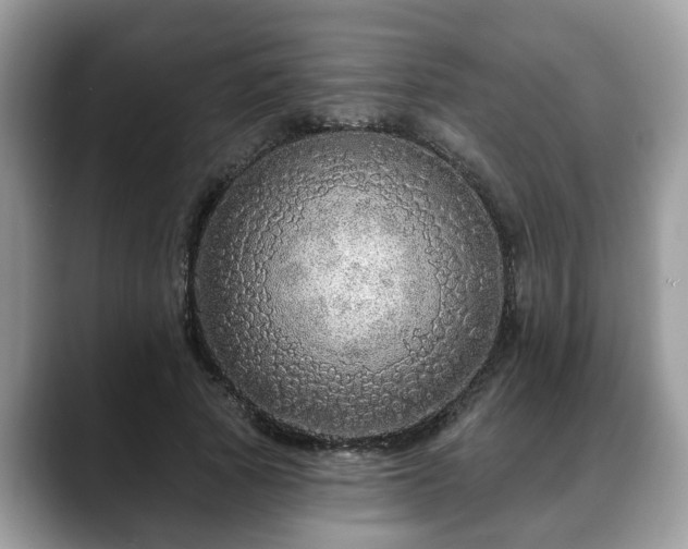 X0000088670737200706071459