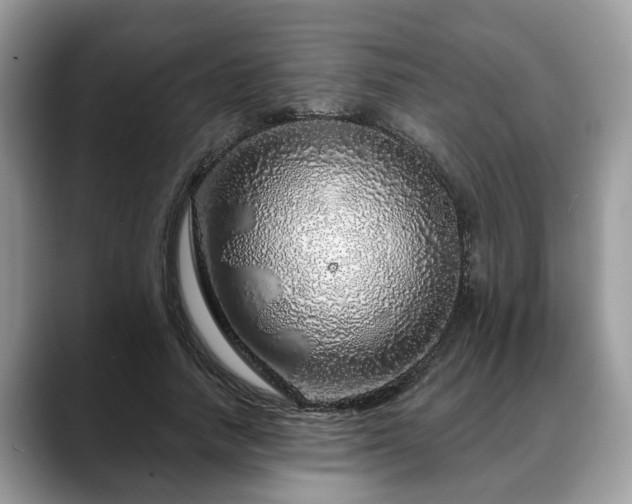 X0000088670738200706071459