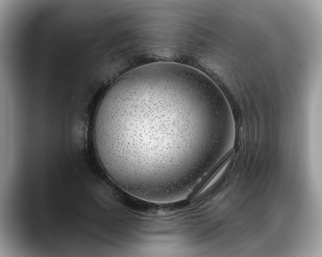 X0000088670739200706071459