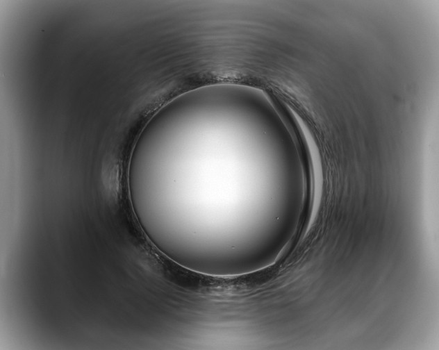 X0000088670740200706071459