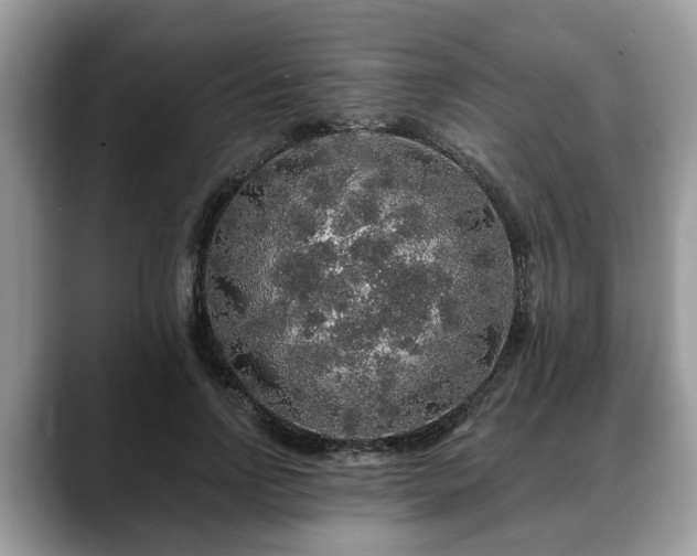 X0000088670742200706071459