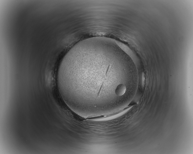X0000088670743200706071459