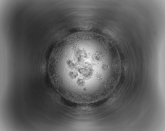 X0000088670745200706071459