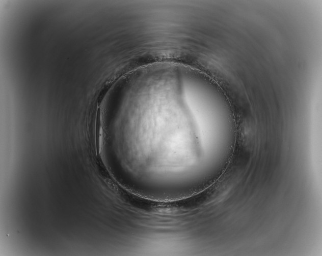 X0000088670746200706071459