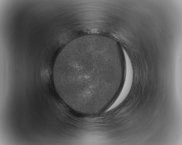 X0000088670747200706071459