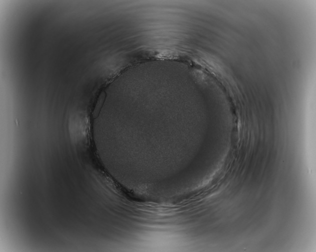 X0000088670748200706071459