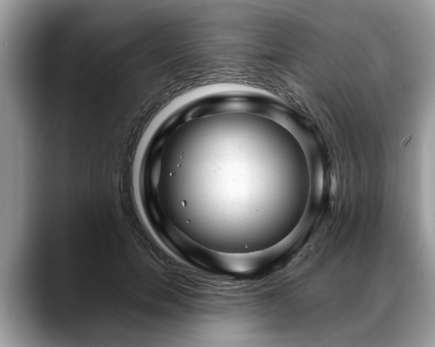 X0000088670750200706071459