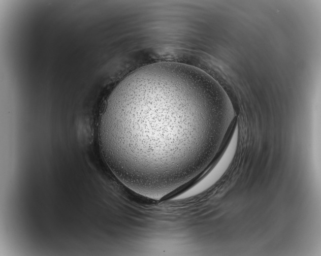 X0000088670751200706071459